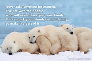 live-life-with-people-who-never-leave-you